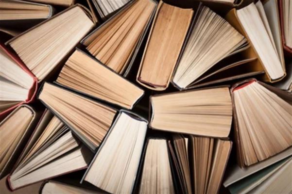 Bog & idé: En Litterær Oase for Bogelskere