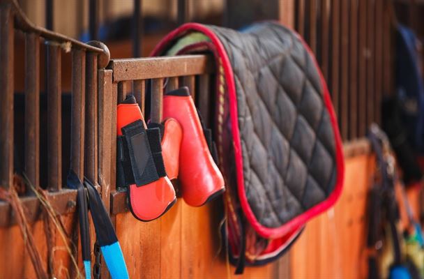 Her skal du se hvem der har det største udvalg i rideudstyr online