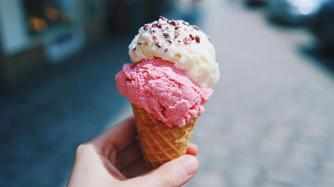 Bedste is i Stege - en guide til iselskende eventyr